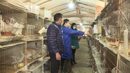 内江市东兴区：疫情防控不松懈 种植生产不耽误