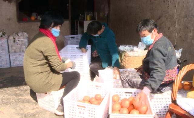 内江市东兴区：疫情防控不松懈 种植生产不耽误